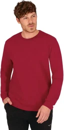 Sweatshirt Sweatshirt aus Biobaumwolle , Herren, Gr. S, rot (rubin), 75% Baumwolle (Biobaumwolle kbA), 25% Baumwolle (recycelt), Basic, Sweatshirts