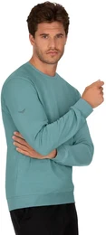 Sweatshirt Sweatshirt aus Biobaumwolle , Herren, Gr. L, grn (seegras), 75% Baumwolle (Biobaumwolle kbA), 25% Baumwolle (recycelt), Basic, Sweatshirts