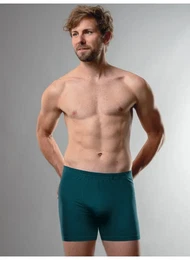 Boxer Herren Pant in bequemer Stretch-Qualitt , Herren, Gr. XL, blau (saphir), 95% Baumwolle, 5% Elastan, Unterhosen