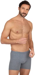 Boxer Herren Pant in bequemer Stretch-Qualitt , Herren, Gr. XL, grau (steingrau, melange), 95% Baumwolle, 5% Elastan, Unterhosen