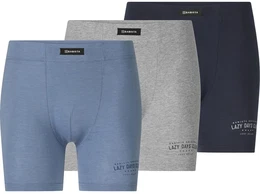 Retro Pants 3er Pack Retropants DOMETISSI , Herren, Gr. XXL, blau, Obermaterial: 95% Baumwolle CO. 5% Elasthan EL., Unterhosen