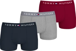 Trunk 3P TRUNK DTM , Herren, Gr. S (48), des sky, md gry hthr, rge, Jersey, Obermaterial: 95% Baumwolle, 5% Elasthan, UNDERWEAR, unifarben, normal, Unterhosen, mit Logobund