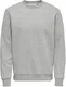 ONLY and SONS Ceres Life Crew Sweatshirt
