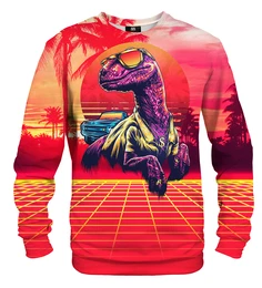 Unisex's Sweater S-PC1340
