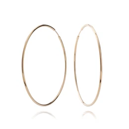Women's earrings