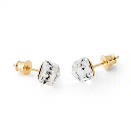 Woman's Earrings 21594