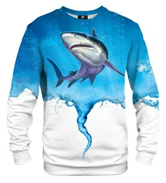 Unisex's Sweater S-PC1522