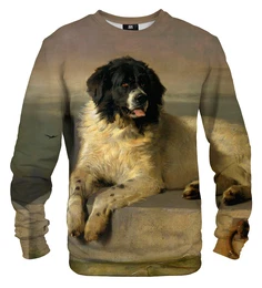 Unisex's Sweater S-PC1571