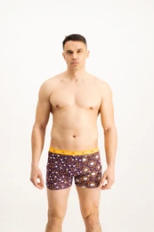 Men's boxers Zodiac Lwe