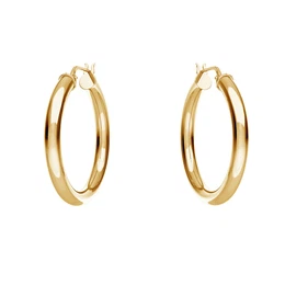Woman's Earrings 36755