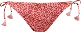 BATHERS THONG Dusty Pink Swimsuit