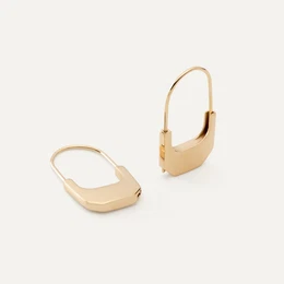 Woman's Earrings 37317