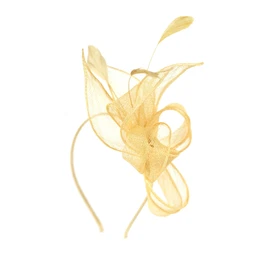 Woman's Fascinator cz18577