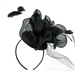 Woman's Fascinator cz18578