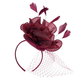 Woman's Fascinator cz18578