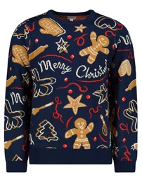 Herren Pullover