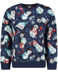 Herren Pullover