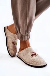 Domestic slippers Big Star