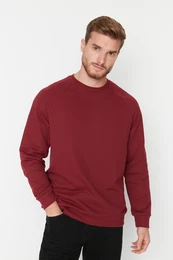 Herren T - Shirt langarm Raglan