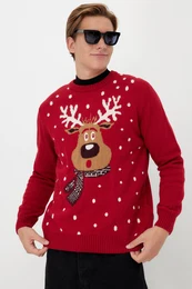 Herren Pullover