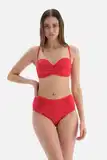 Tankiny bandeau bez ramínek image