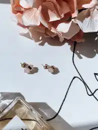 VERIEGATA Pink Earrings