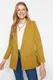 Trendyol Light Brown Regular Lined Double Breasted Closure Button Detailed Woven Blazer Jacket