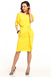 Woman's Dress T309 8