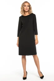 Woman's Dress T245 3