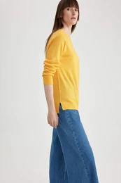 Regular Fit Crew Neck Pullover