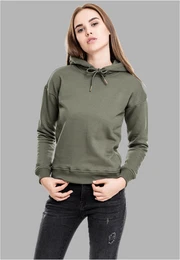 Dmsk mikina Ladies Hoody