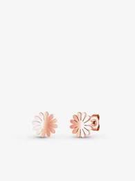Riterra Rose Gold Earrings