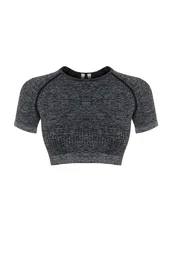 Anthracite Crop Seamless/Seamless Crew Neck Knitted Sports Top/Blouse