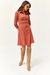 Women's Onion Skin Polo Collar Buttoned Mini Flared Dress