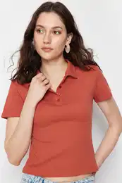 Cinnamon Polo Collar Buttoned Short Sleeve Stretchy Ribbed Knitted Blouse