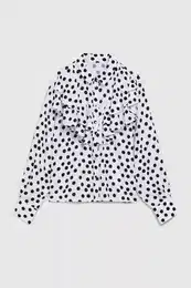 Elegant women's shirt