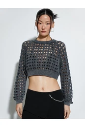 Openwork Crop Sweater Crew Neck Long Sleeve