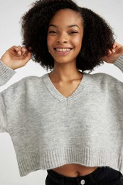 Regular Fit V-Neck Pullover