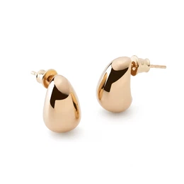 Woman's Earrings Tear Drop