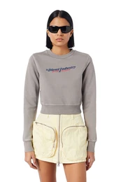 Sweatshirt - F-SLIMMY-IND SWEAT-SHIRT grey