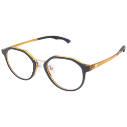 Optical Frame