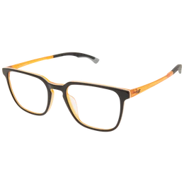 Optical Frame