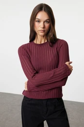 Claret Red Transparent Knitwear Look Fabric Regular Length Crew Neck Knitted Blouse