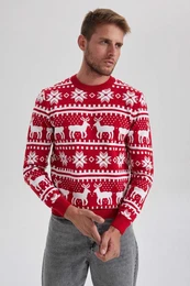 Standard Fit New Year Themed Crew Neck Knitted Sweater
