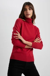 Regular Fit Turtleneck Basic Plain Knitwear Sweater