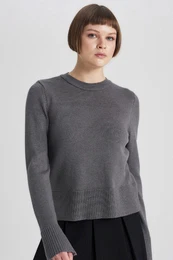 Regular Fit Crew Neck Sweater