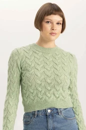 Crop Crew Neck Knitwear Sweater