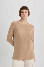 Regular Fit Crew Neck Glitter Fabric Sweater