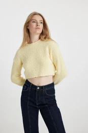 Cool Regular Fit Crew Neck Sweater