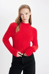 Cool Regular Fit Half Turtleneck Knitwear Sweater